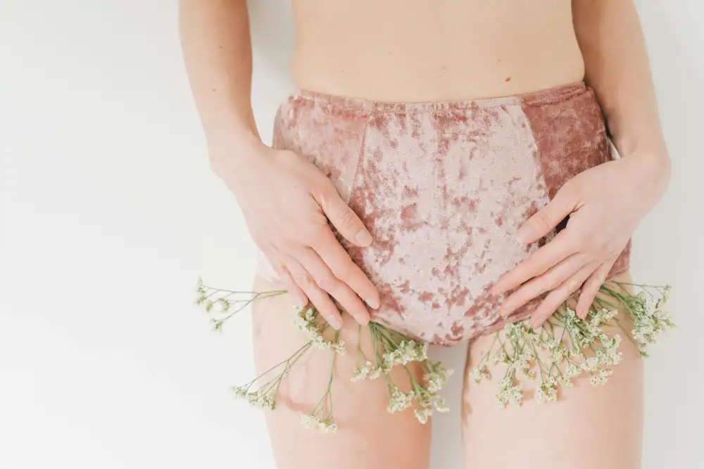 Period Underwear Kickstarter